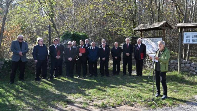 Ko so zamaskirani tigrovci načrtovali upor ...