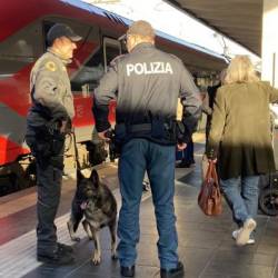 Gaby med opravljanjem službene dolžnosti (POLICIJA)