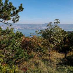 Nadvojvodov gozdič nudi čudovite poglede na Trst in njegov zaliv (TEDESCHI/FOTODAMJ@N)