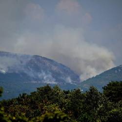 Pogled iz Dutovelj proti območju požara (FOTODAMJ@N)