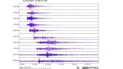Seizmogram potresa (ARSO)