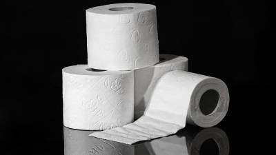Toaletni papir (PIXABAY)