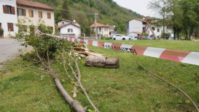 Prizorišče nesreče na predvečer prvega maja 2022 v Podgori (BUMBACA)