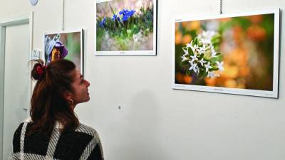 Razstava bo na ogled do 31. januarja od ponedeljka do petka na sedežu Občine Zgonik