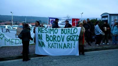 Protestniki so izrazili nasprotovanje napovedanemu poseku borov v gozdiču na Katinari