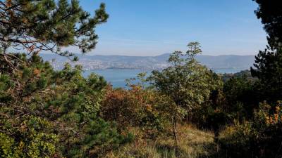 Nadvojvodov gozdič nudi čudovite poglede na Trst in njegov zaliv (TEDESCHI/FOTODAMJ@N)