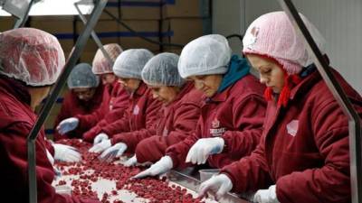 Proizvajalke marmelad miru na delu (FACEBOOK)