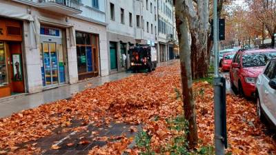 Listje na Korzu Verdi (D.R.)