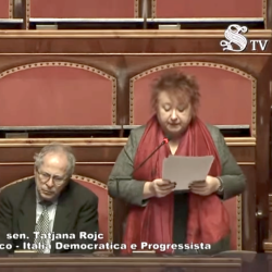 Tatjana Rojc (desno) v senatu, arhivska fotografija (SENATO TV)