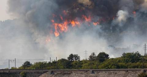 Misure preventive uniformi per la lotta antincendio congiunta nel Carso