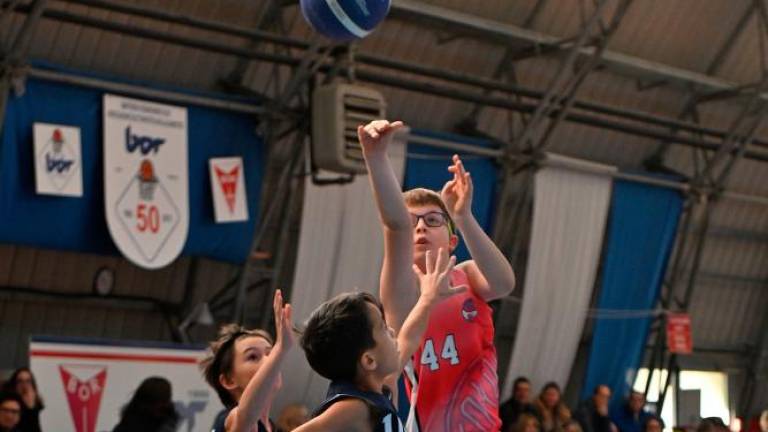 Borov Festival minibasketa vsestransko uspel