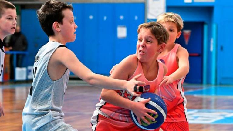 Borov Festival minibasketa vsestransko uspel