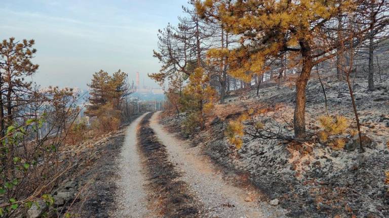 S pogorišča se še vedno dviga dim