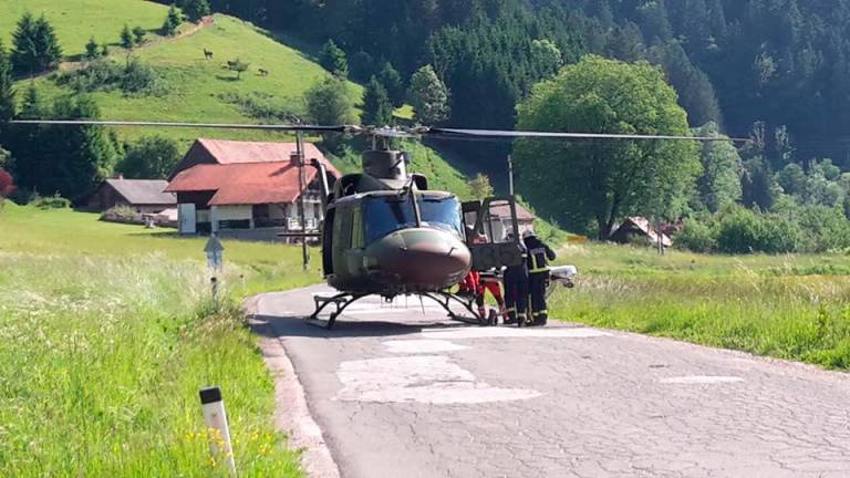 Petmetrsko deblo padlo na 77-letnika