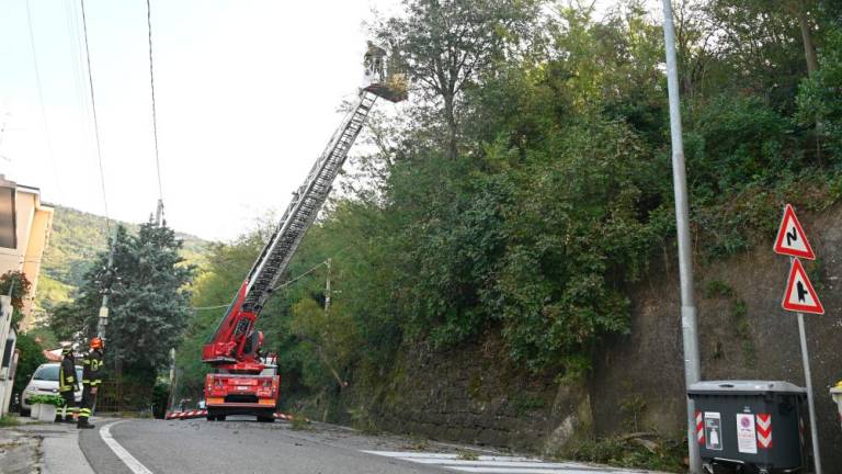 Furlansko cesto prehodno zaprli za promet