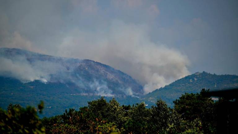 Obsežen požar na območju Trstelja (video)