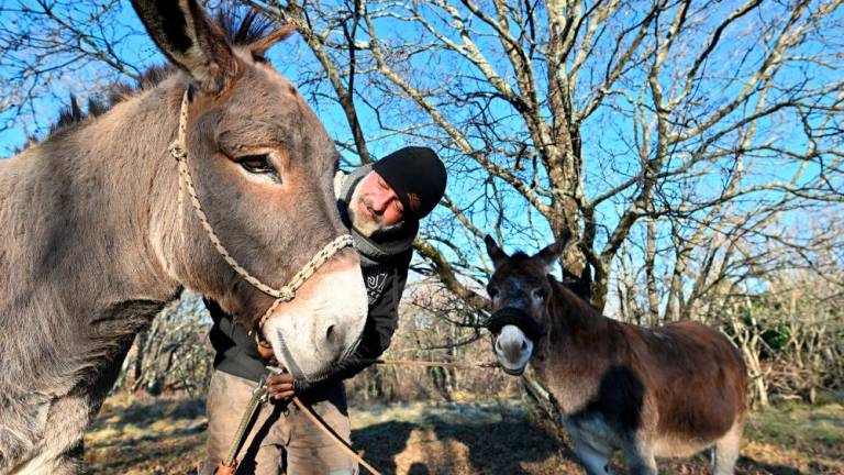 »Z osloma, ki vlečeta voziček, pešačim v Indijo«