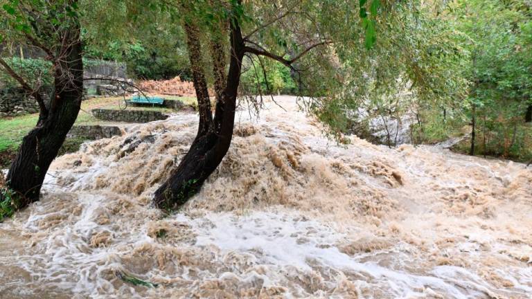 Izvir na Jami podivjal kot malokdaj, morda kot še nikoli (video)