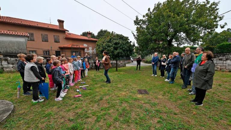 Zgoniški Sinergični vrt