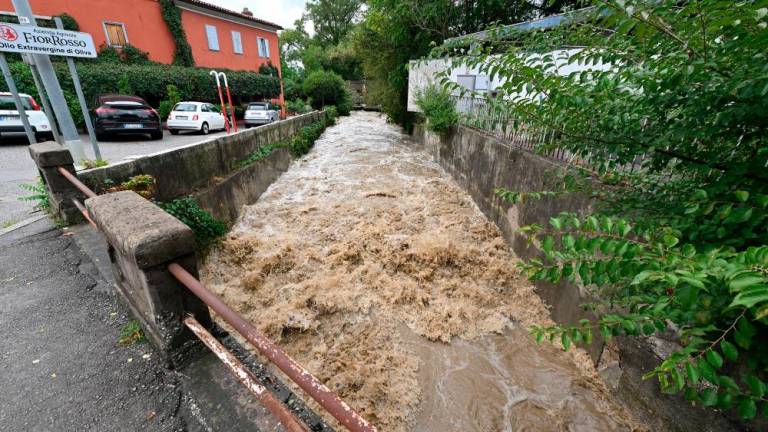 Rekordno deroča Glinščica in izvir na Jami