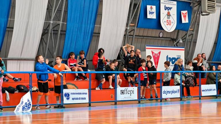 Borov Festival minibasketa vsestransko uspel