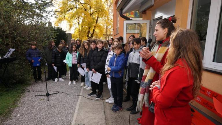 Simbol žensk, ki so jim pristrigli peruti