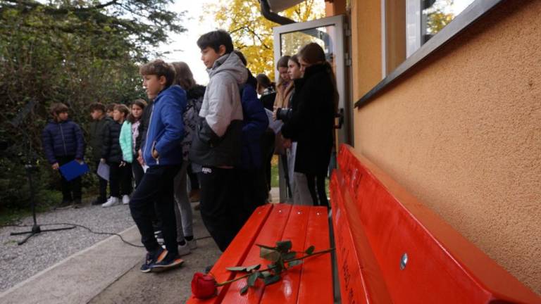 Simbol žensk, ki so jim pristrigli peruti