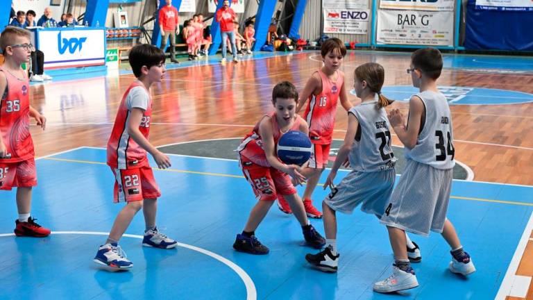 Borov Festival minibasketa vsestransko uspel