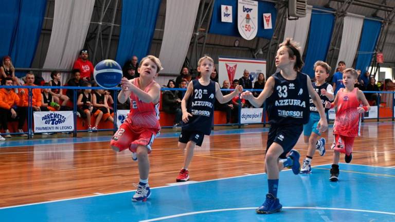 Borov Festival minibasketa vsestransko uspel