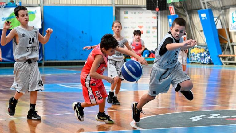 Borov Festival minibasketa vsestransko uspel