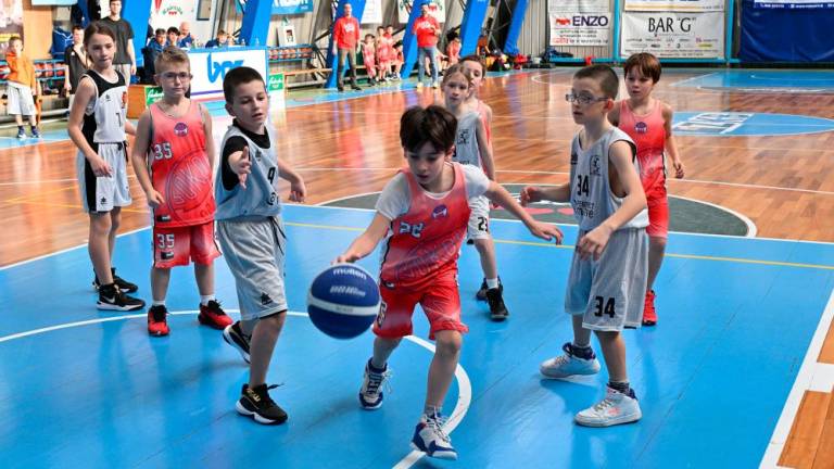 Borov Festival minibasketa vsestransko uspel