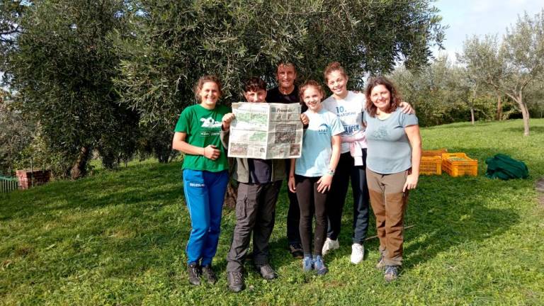 ... Tudi »mahatinci« nabirajo oljke v Miljah v dobri družbi ... <i>(Elena Lantier)</i>