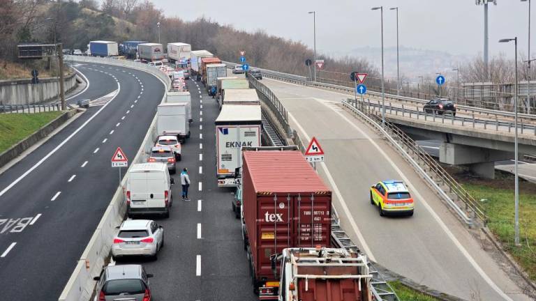 Tržaško hitro cesto zaradi nesreče z biki zaprli v obe smeri