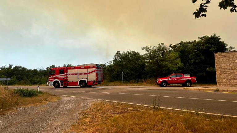Obsežen požar na območju Trstelja (video)