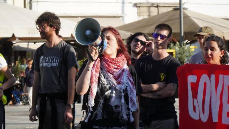 Čezmejni shod v podporo Palestini