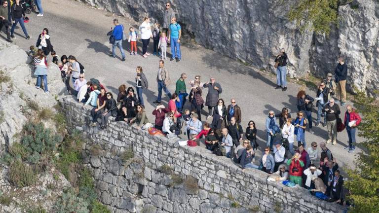 Na Barcolano se pripravljajo tudi Openci