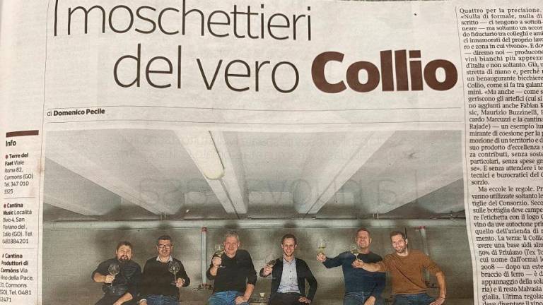 Corriere o projektu briških vinarjev