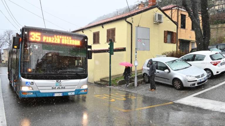 Podlonjer in Katinaro bi povezali z minibusom